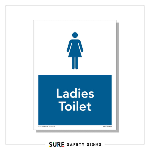 A safety sign indicating the ladies toilet in Ireland. It features a simple female silhouette above the words Ladies Toilet on a blue background.